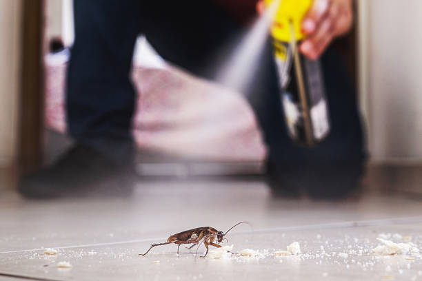 Best Local Pest Control Services  in Centre, AL