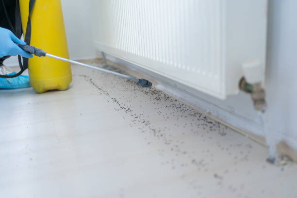 Pest Control Cost in Centre, AL