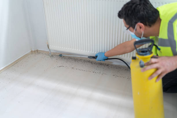 Best Pest Prevention Services  in Centre, AL